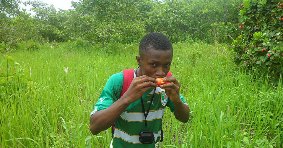 Cashew tasting